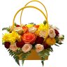 Birkin цвета осень