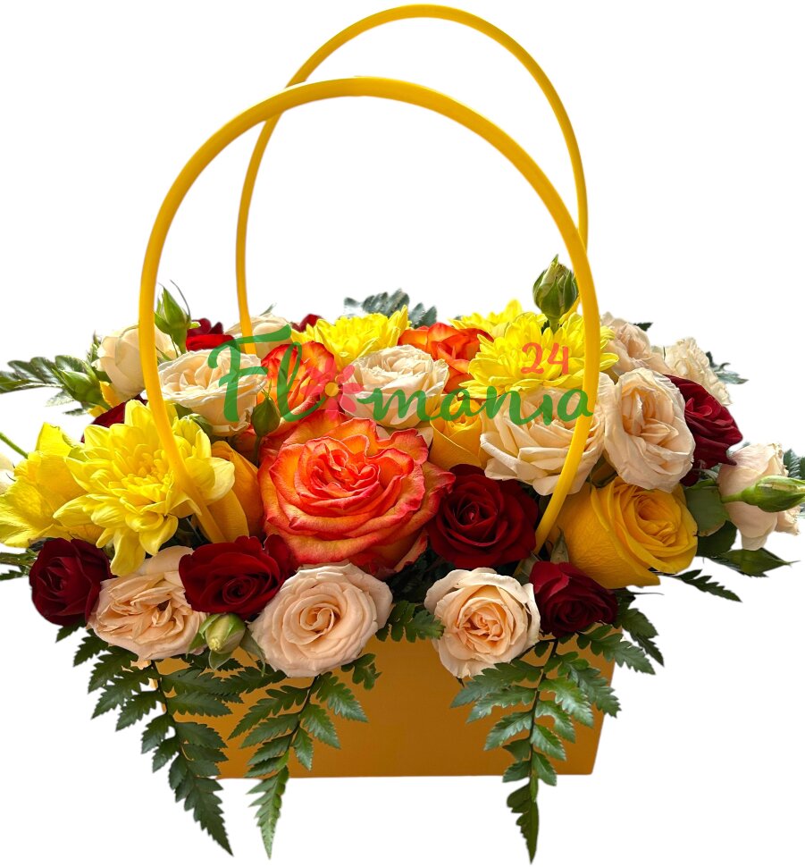 Birkin цвета осень